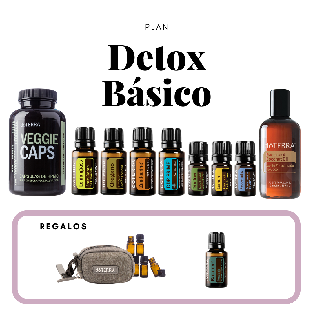 🌿 Plan Detox Básico – 30 días