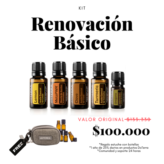 Renovación Básico – Detox y renovación energética profunda
