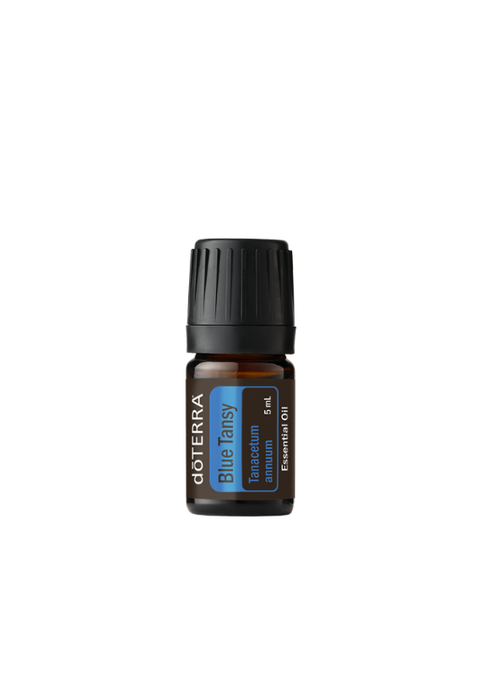 Blue Tansy