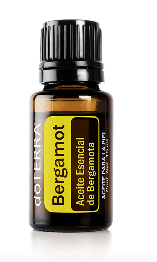 Bergamota