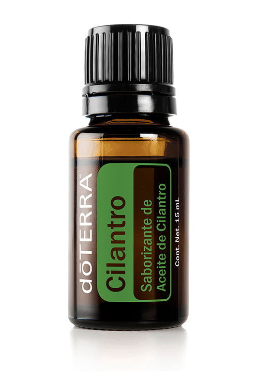 Cilantro