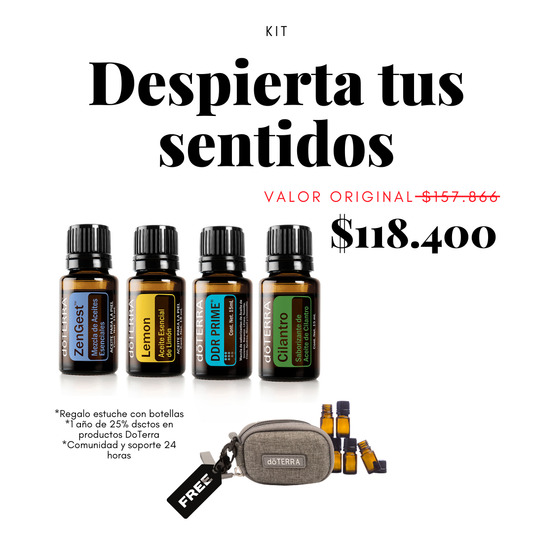 Despierta tus Sentidos – Detox emocional y activación energética