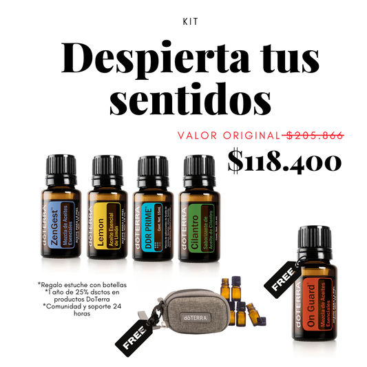 Despierta tus Sentidos – Detox emocional y activación energética