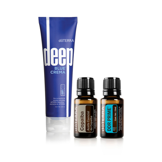 Gym Kit – Fortalece, protege y recupera tu cuerpo