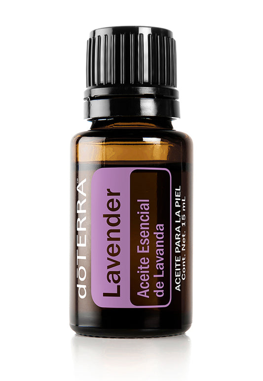 Lavanda